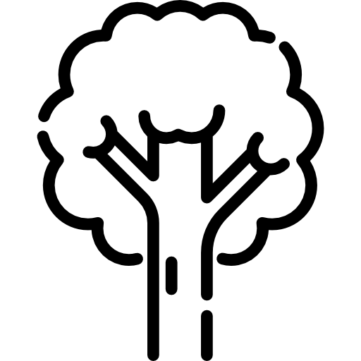 no image found